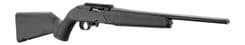 Ruger 10/22 .22 LR 18.5in Black - view 3