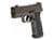 Sig Sauer P365 AXG Legion 9mm Luger 3.1in Legion Gray thumbnail 2