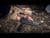 FN 502 Tactical Optics & Suppressor-Ready .22 LR Pistol thumbnail 6
