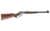 Chiappa LA322 Take Down .22 LR Lever Action Rifle, 15+1 Rounds thumbnail 1