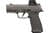 Sig Sauer P365 AXG Legion 9mm 3.1in Legion Gray thumbnail 1