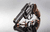 Charter Arms Pro .32 Magnum Revolver - Black Nitride Finish thumbnail 2