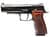 SIG SAUER P320 M-17 Ceremonial 9mm Striker Pistol - Polished Elegance thumbnail 3