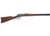 Puma PowerShot .357 Magnum Lever Rifle - 10-Round thumbnail 1