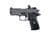 Sig Sauer P229 Compact Legion RXP SAO 9mm - Legion Gray Elite thumbnail 1