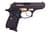 Bersa Thunder 22 - Elegant Black/Gold .22 LR Semi-Auto Pistol thumbnail 1