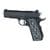 Dan Wesson ECP .45 ACP SAO Pistol, 4" Barrel, 8-Round Capacity thumbnail 2