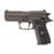 Sig Sauer P229 Legion 9mm 3.9in Legion Gray thumbnail 2