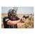 Langdon Tactical 92 Elite LTT 9mm, Black, 18+1 Rounds Pistol thumbnail 4
