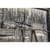 CZ 457 VPT Camo .22LR: Precision Bolt-Action Trainer Rifle thumbnail 4