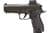 Sig Sauer P226-X Legion 9mm 4.4in Legion Gray thumbnail 1