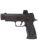 Sig Sauer P320 AXG Legion 9mm w/Romeo-X & XRAY3 Sights thumbnail 5