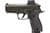 Sig Sauer P226-XCarry Legion 9mm 3.8in Legion Gray thumbnail 1
