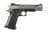 Witness 2311 Optics-Ready 10mm SA Pistol - Black/Gold Finish thumbnail 1