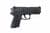 Sig Sauer SP2022 Nitron .40 S&W - Ergonomic & Reliable Defense Pistol thumbnail 1
