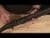 Beretta 1301 Comp: Elite Semi-Auto Shotgun, 12 GA, 21" Matte Black thumbnail 6