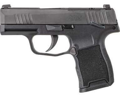 Sig Sauer P365 .380 ACP Night Sight Compact Carry Pistol