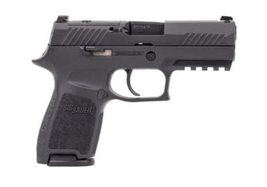 Sig Sauer P320 9mm 3.9in Black