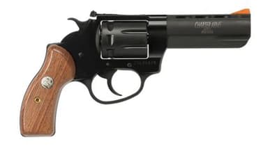 Charter Arms Pathfinder II .22 LR 3.5in Black