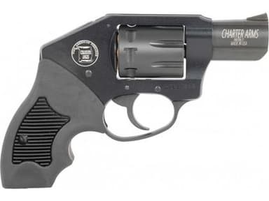 Charter Arms The Walker .22 LR 2in Black