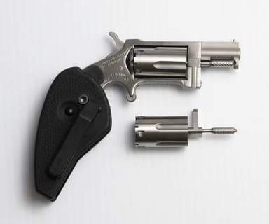 NAA Sidewinder .22LR Revolver - Compact Stainless Holster Grip